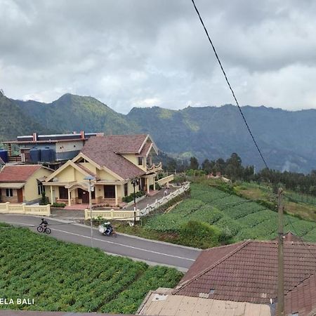 Tengger Indah Bromo By Abm Exterior foto