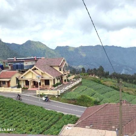 Tengger Indah Bromo By Abm Exterior foto
